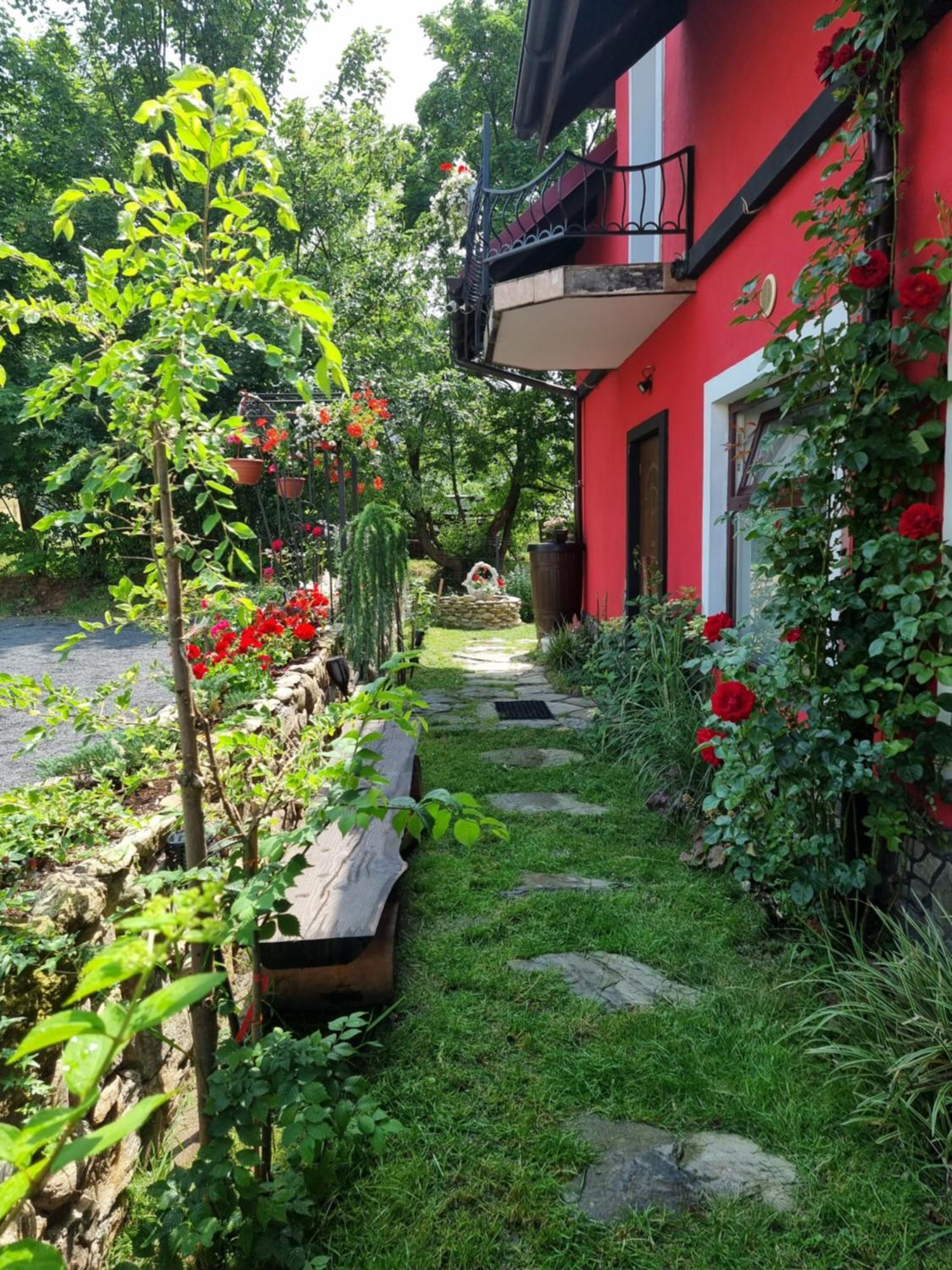 Apartamenty U Bodzia Строне-Шльонське Екстер'єр фото