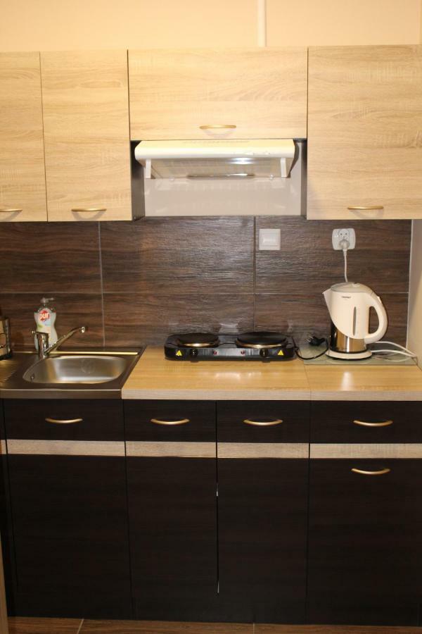 Apartamenty U Bodzia Строне-Шльонське Екстер'єр фото