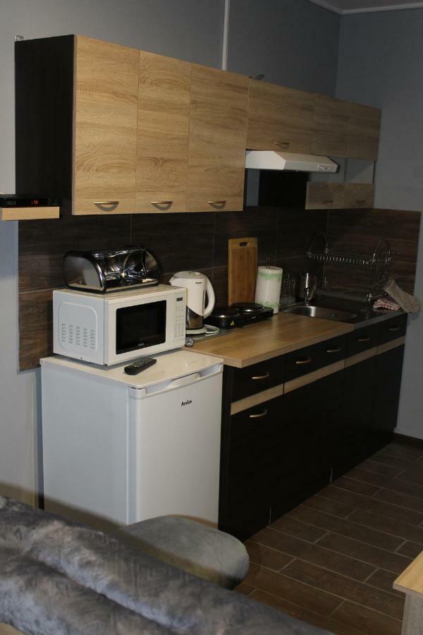 Apartamenty U Bodzia Строне-Шльонське Екстер'єр фото