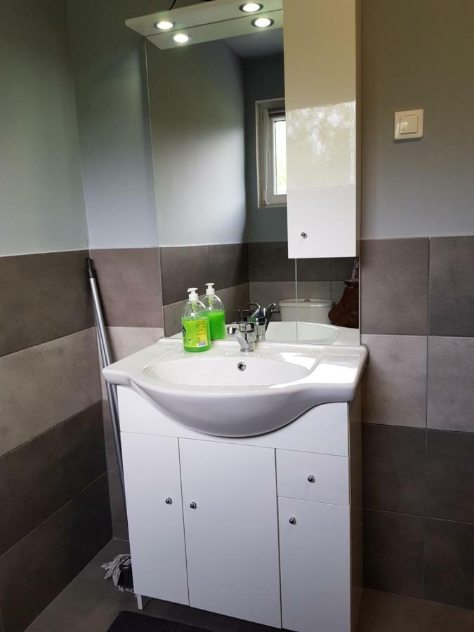 Apartamenty U Bodzia Строне-Шльонське Екстер'єр фото